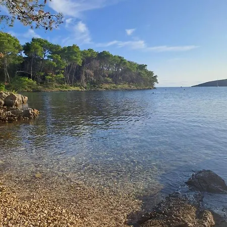 Mirko App Molat